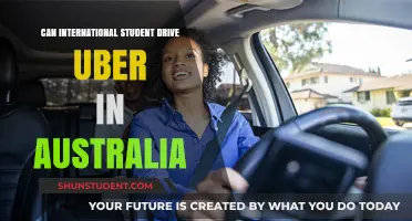 International Students in Australia: Can They Drive for Uber?