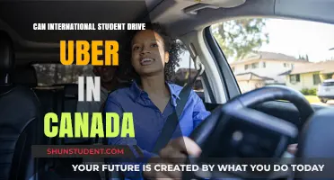 International Students Driving Uber in Canada: What You Need to Know