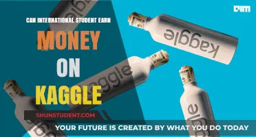 Kaggle Earnings for International Students: Is It Possible?