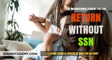 Filing Taxes: SSN Requirements for International Students