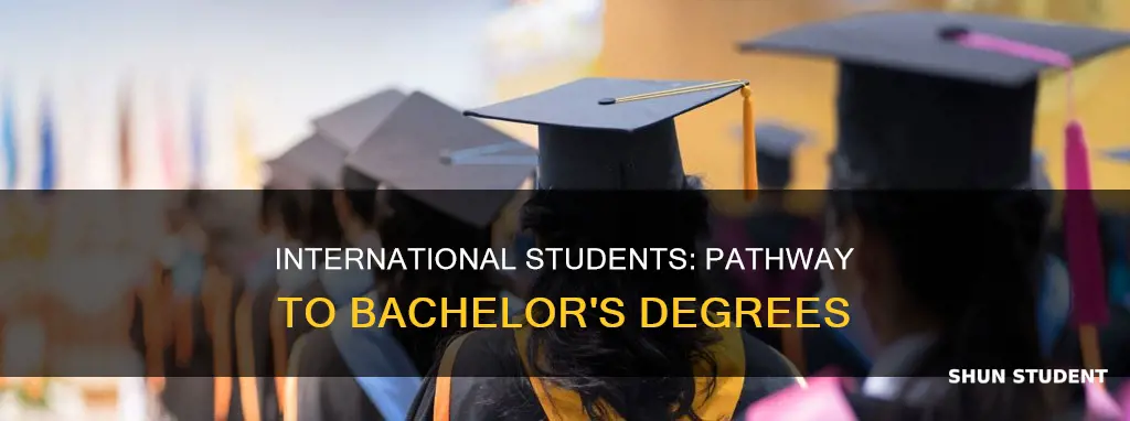 can international student get a bachelor