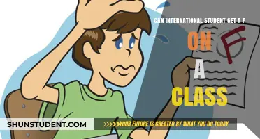 Failing Grades: International Students' Academic Struggles