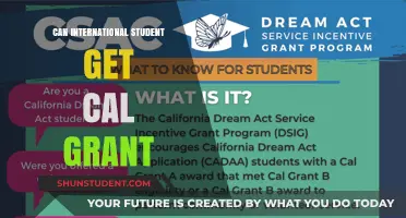 International Students: Accessing Cal Grant Funding