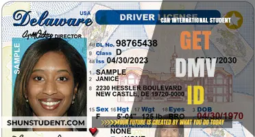 International Students: Getting a DMV ID Made Easy