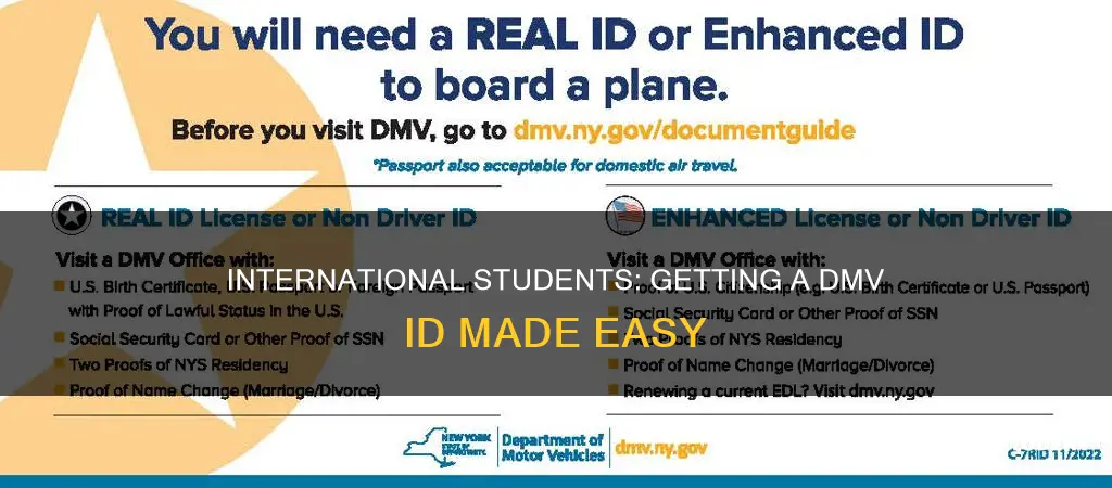 can international student get dmv id