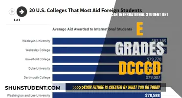 International Students: DCCCD's E-Grades Policy Explained