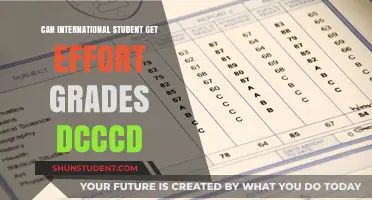 International Students: Effort Grades at DCCCD