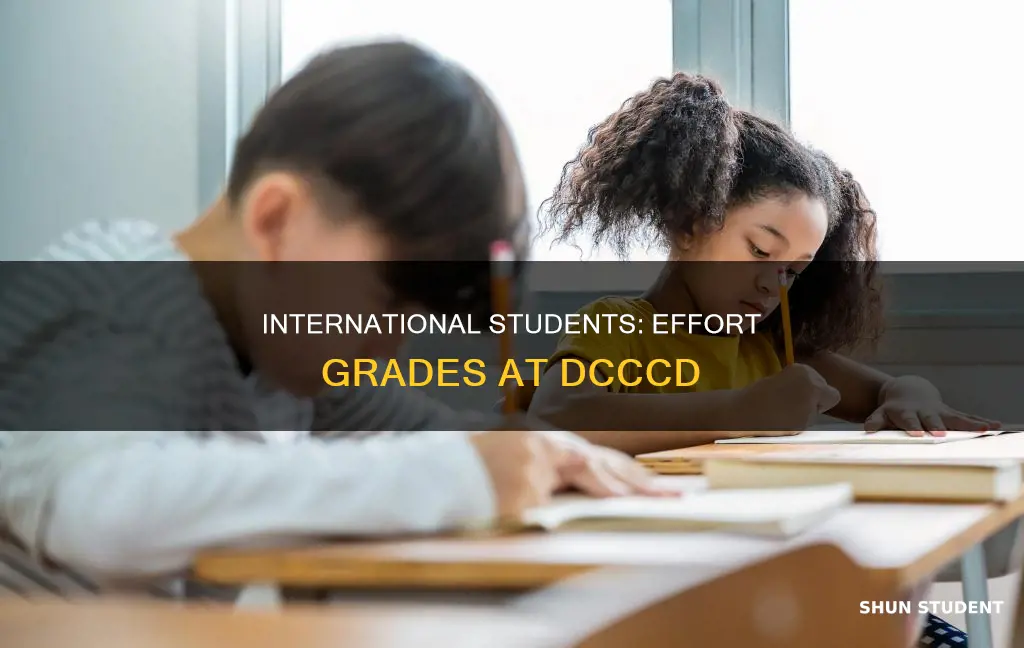 can international student get effort grades dcccd