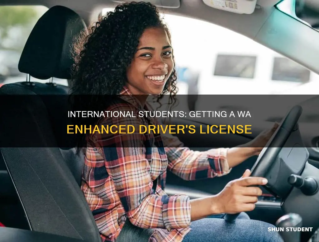 can international student get enhanced driver license in wa