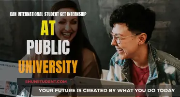 International Students: Access to Public University Internships