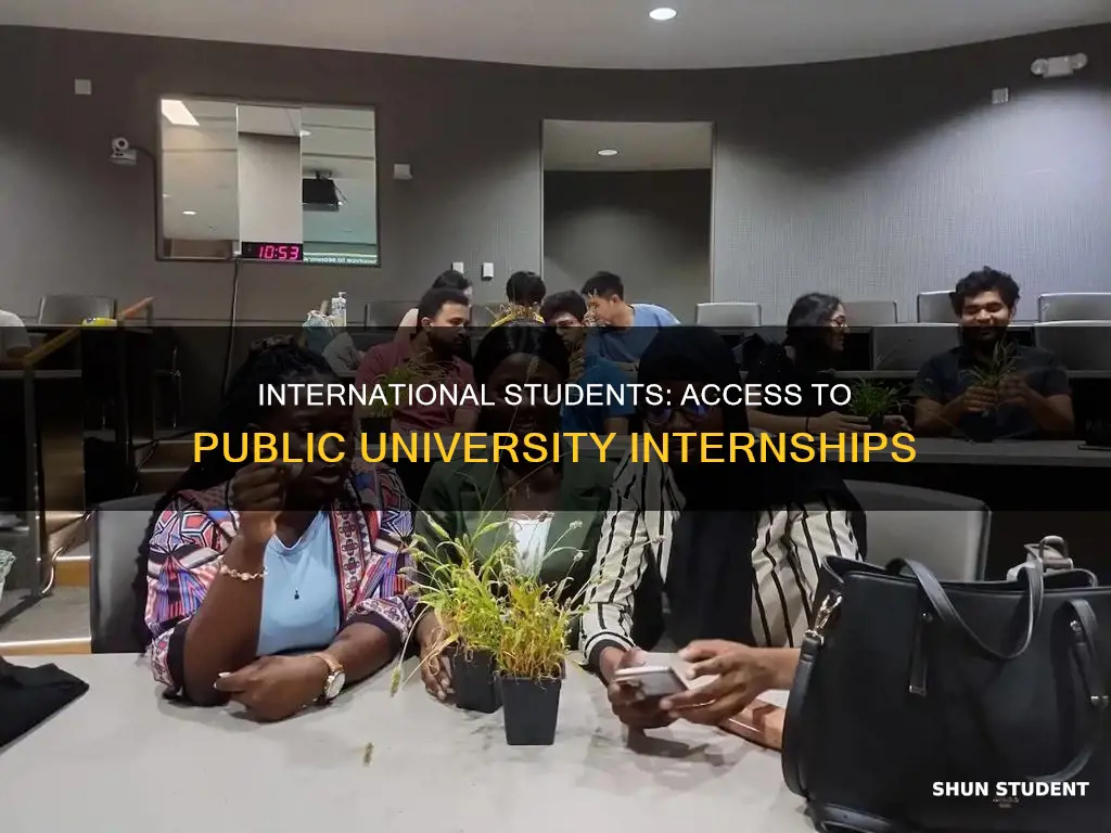 can international student get internship at public university