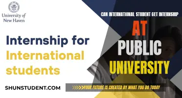 How International Students Can Get Public University Internships