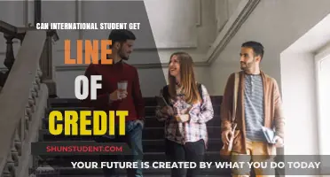International Students: Accessing Lines of Credit