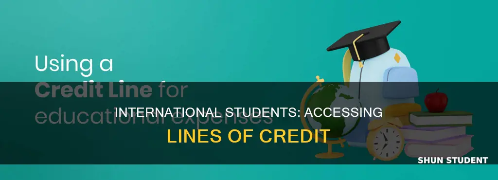 can international student get line of credit