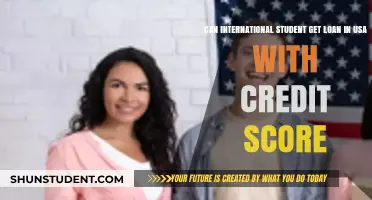 Credit Scores: International Students' Loan Options in the US