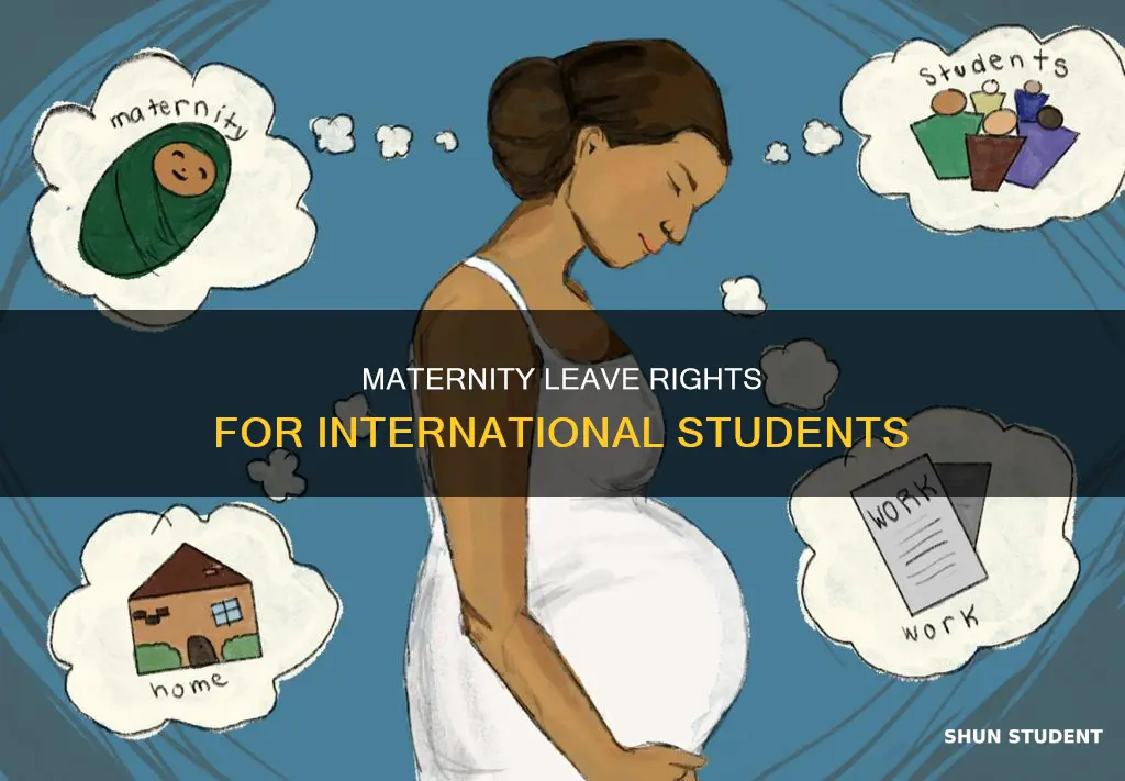 can international student get maternity leave