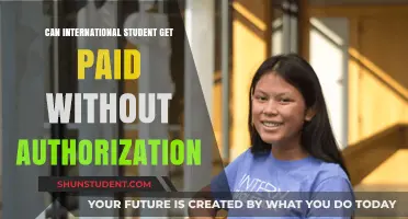 Paid Work for International Students: Authorization Needed?