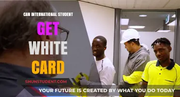 International Students: Accessing White Cards