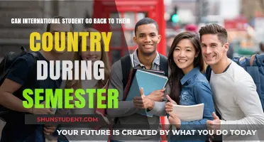 International Students: Can I Go Home?