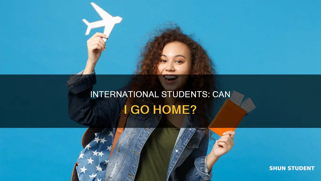 can international student go back to their country during semester