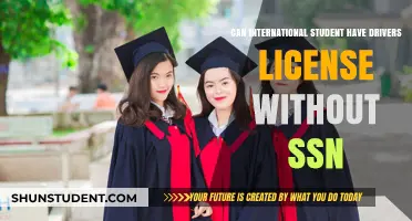International Students: Driving Licenses Without SSNs