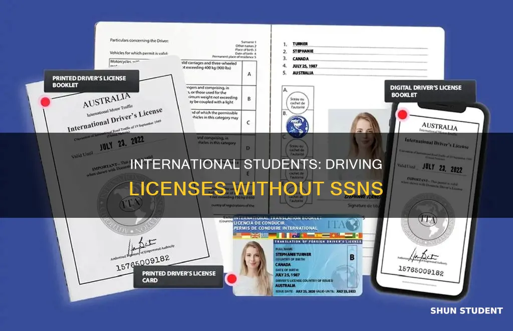 can international student have drivers license without ssn