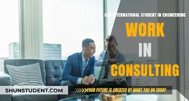 Engineering Students: Consulting Careers for International Grads