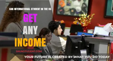 International Students in the US: Earning Income?