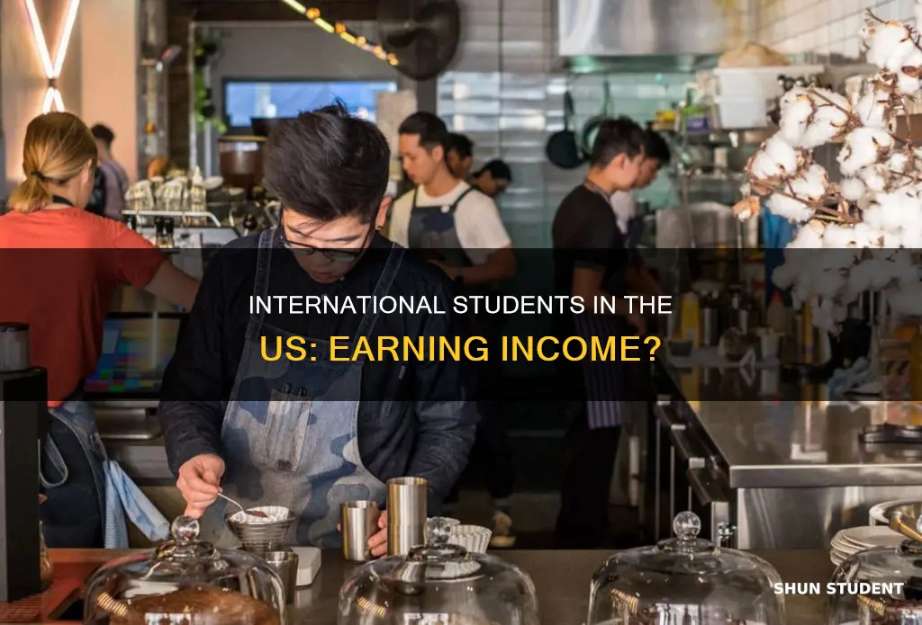 can international student in the us get any income