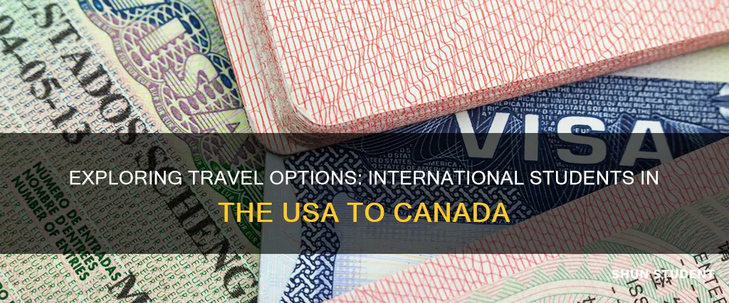 can international student in usa travel to cânda