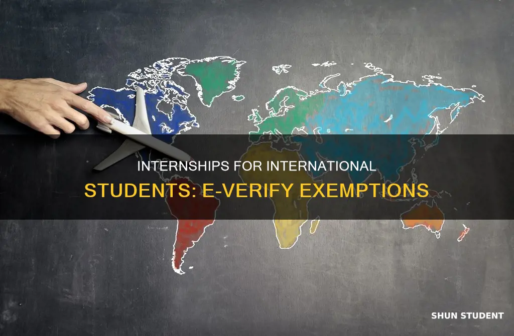 can international student intern in non e verified