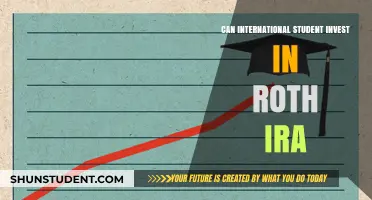 International Students: Invest in a Roth IRA?