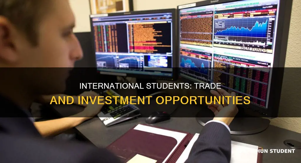 can international student invest in trading business