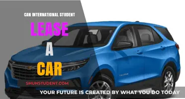 Leasing Options for International Students in the US
