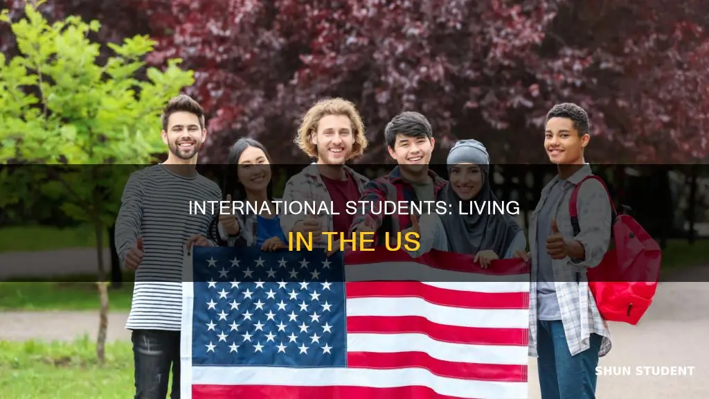 can international student live in us