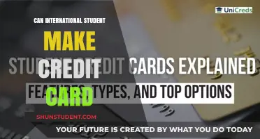 Credit Cards for International Students: What You Need
