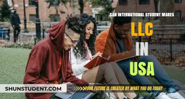 International Students: Can They Create LLCs in the US?