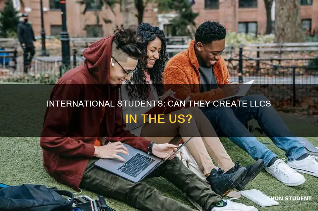 can international student makes llc in usa