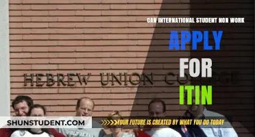 International Students: ITINs and Work Permits