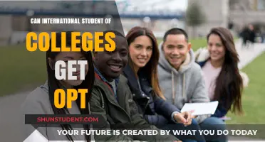 International Students: Work Options After Graduation