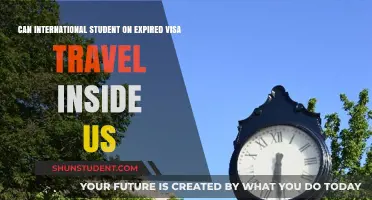 Travel Options for International Students on Expired US Visas