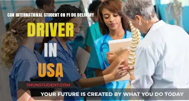 International Students in the US: Can You Drive for Delivery Apps?