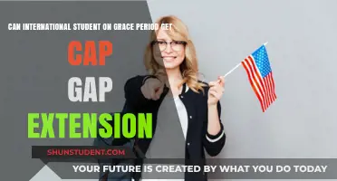 Understanding CAP-GAP Extension for International Students
