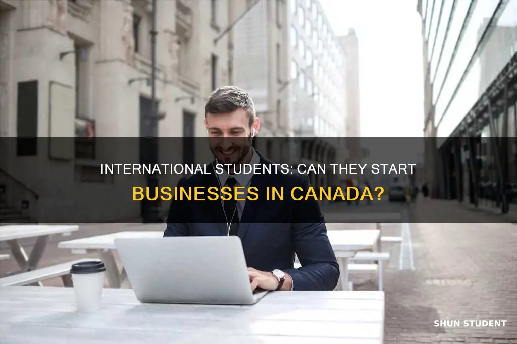 can international student open a business in canada