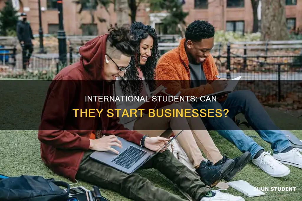 can international student open a business