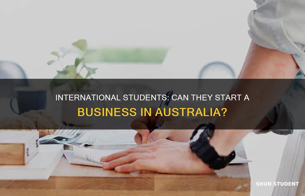 can international student open business in australia