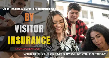 International Students: Job-Seeking with Visitor Insurance