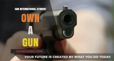 Gun Ownership for International Students: Is It Possible?