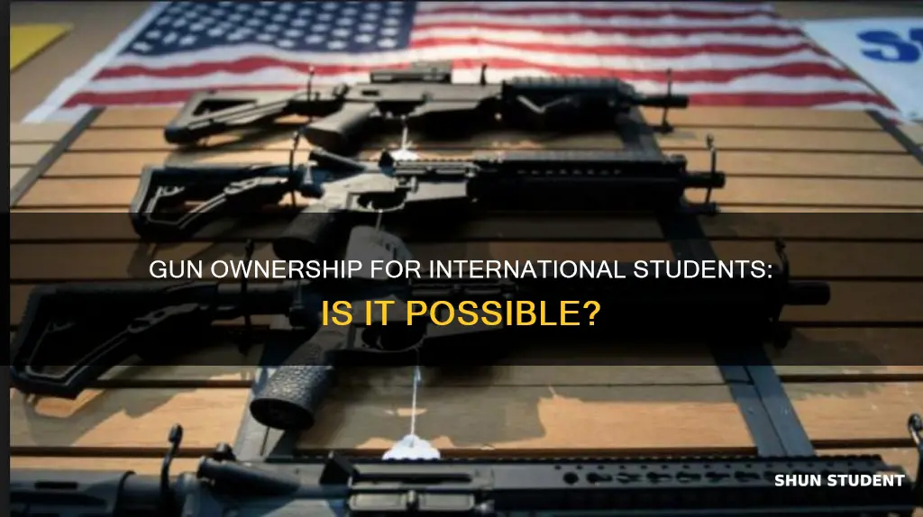 can international student own a gun