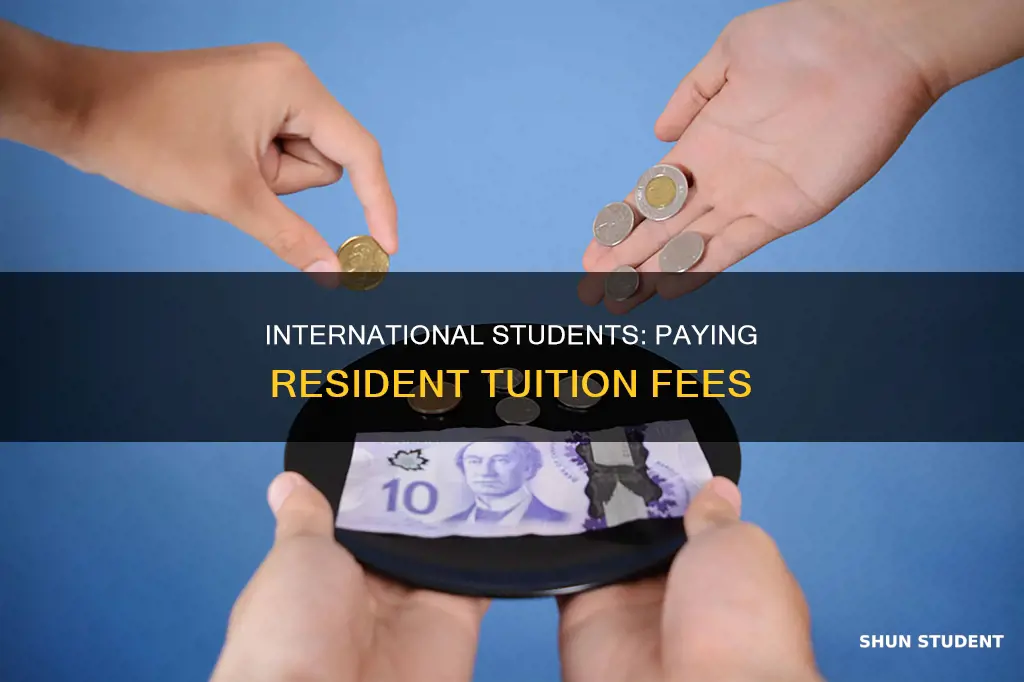 can international student pay resident tuition